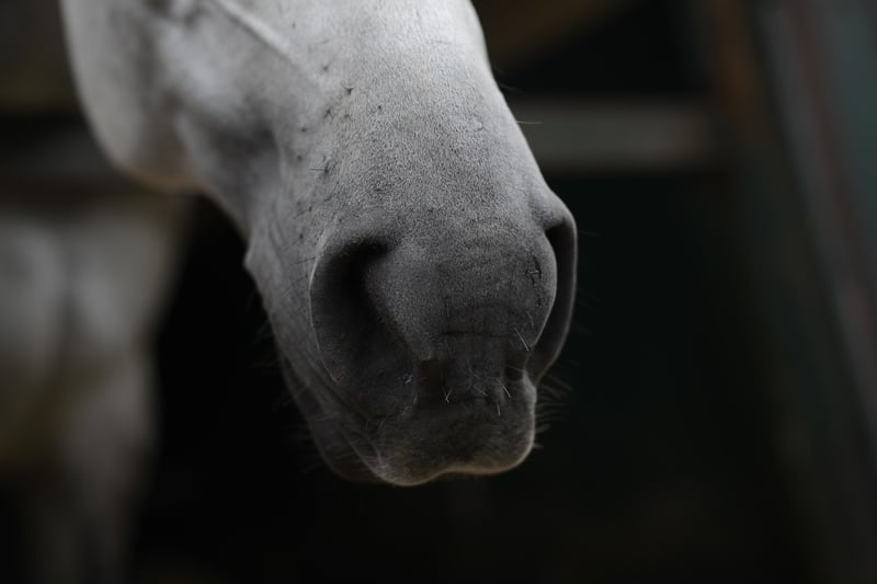 Alternate Nostril Breathing